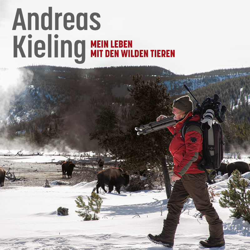 Andreas Kieling: Mein Leben mit den wilden Tieren
